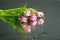 Tulips in water with reflection