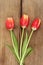 Tulips on wood