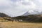 Tulpar, Kyrgyzstan August 21 2018: Yurt Base Camp at Tulpar Lake at the foot of Peak Lenin in Kyrgyzstan