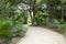 Tulum Jungle Walkway