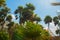 Tulum, Mexico, Yucatan: Beautiful landscape with palm trees and the Caribbean sea