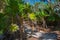 Tulum, Mexico, Yucatan: Beautiful landscape with palm trees. Sunny day in the Park, shadows of trees on the road