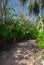 Tulum, Mexico, Yucatan: Beautiful landscape with palm trees. Sunny day in the Park, shadows of trees on the road