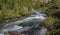 Tumalo Creek flowing through Oregon forest