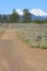 Tumalo Reservoir Flood Plains