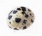 tumbled dalmatian jasper (dalmatine stone