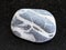 tumbled gray Gneiss stone on dark background