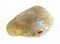 tumbled labradorite (labrador) stone on white