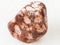 tumbled leopardskin jasper gemstone on white