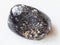 tumbled magnetite stone on white