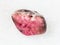 tumbled pink rhodonite gem stone on white