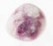 tumbled pink Sodalite gem stone on white