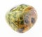 tumbled rhyolite ( rainforest jasper) stone