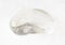 tumbled rock crystal ( quartz) stone on white