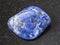 tumbled Sodalite gemstone on dark background