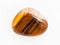 tumbled tigers eye gem stone on white