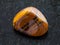 tumbled tigers eye gemstone on dark background