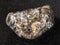 tumbled Turritella Agate gem stone on dark
