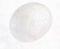 tumbled white translucent agate stone on white