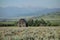 A tumbledown log cabin in the mountains.