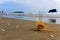 Tumbleweed on the beach