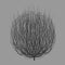 Tumbleweed drawing vector