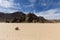 Tumbleweed on dry lake floor with cracked mud