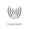 Tumbleweed linear icon. Modern outline Tumbleweed logo concept o