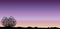 Tumbleweed Sunset Sunrise Background