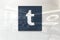 Tumblr icon on glossy office wall realistic texture