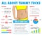 Tummy tuck, abdominoplasty infographic