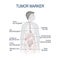 Tumor marker or biomarker.