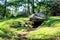 tumulus in the park in france