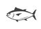 Tuna fish logo icon outline illustration. Salmon tuna fish line icon seafood logo