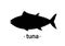 Tuna fish logo icon outline illustration. Salmon tuna fish line icon seafood logo