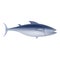 Tuna fish mockup, realistic style