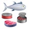 Tuna icon set, cartoon style