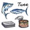 Tuna icons set, cartoon style