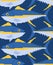 Tuna pixel art pattern seamless. pixelated tunny Seafood fish background. 8 bit vector texture