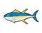 Tuna pixel art. pixelated tunny Seafood fish. 8 bit vector illustration