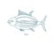 Tuna is a saltwater fish. Mackerel family. Open paths. Editable stroke. Custom line thickness.
