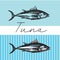 Tuna sketch vector illustration. Hand drawn set of pictures with fish. Food illusttration for menu of care.