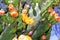 Tunas and cactus flowered in spring red fruits and yellow flowers