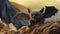 Tundra: 4k Felt Stop-motion Bat With Shallow Depth Of Field