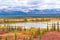 Tundra along the Sustina River in Alaska