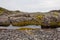 Tundra landscape. Granite rocks and a puddle