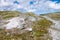 Tundra landscape in Norway