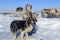 Tundra, open area, the boy with a dog in cold winter weather, the boy  in national clothes