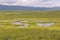 Tundra Pond in the Wilderness