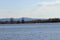 Tundra swans on Middle Creek Lake